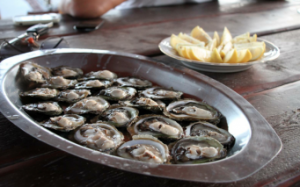 peljesac-oysters