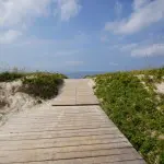 Sand Dunes Curonian Spit