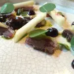 Matured Duck