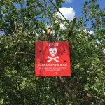 minefield around Sarajevo airport