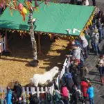 Easter Market Farm