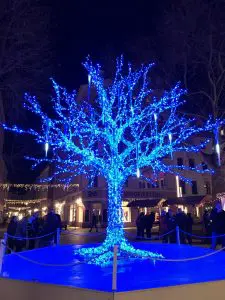 dresden-augustus-market-tree