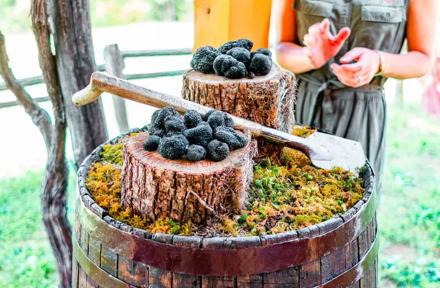 Unmissable Food and Wine Experiences in Istria