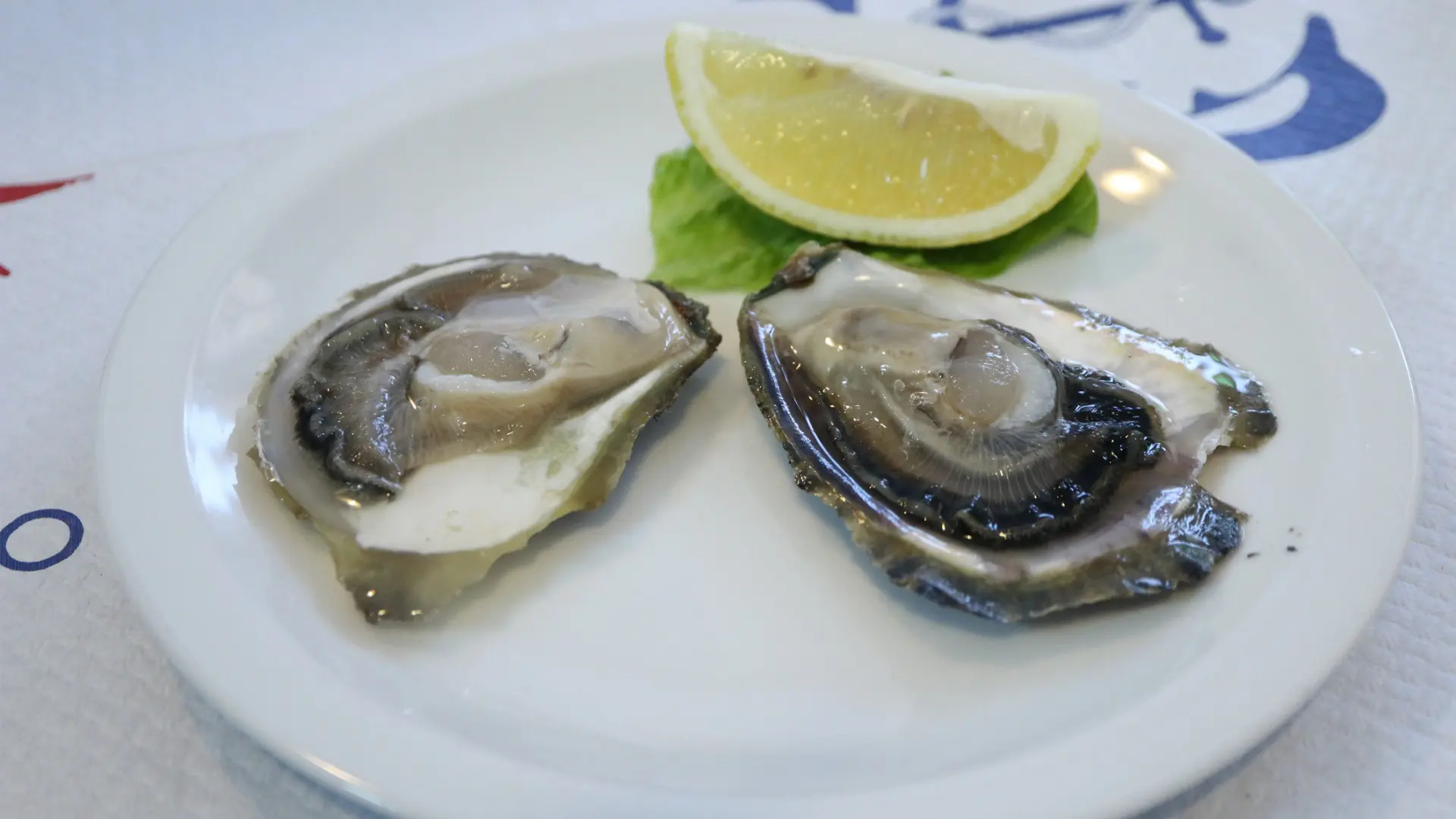 A white plate with two raw oysters and a lemon wedge.