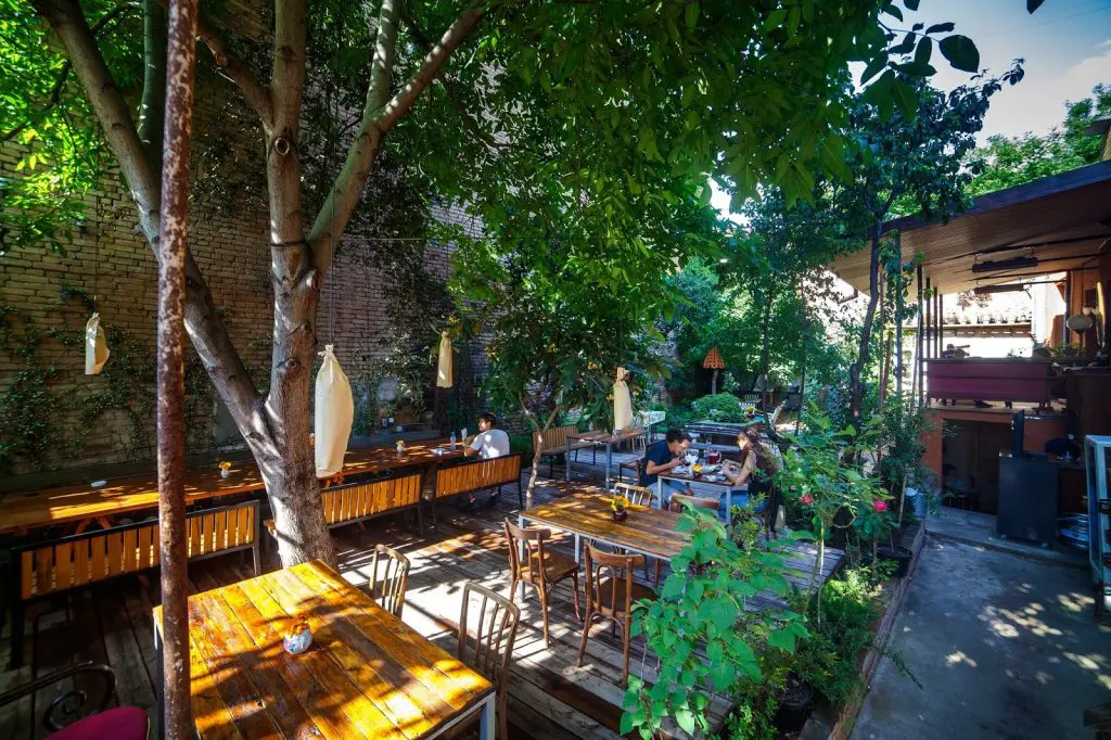 The garden at Shavi Lomi, bathed in late afternoon light.