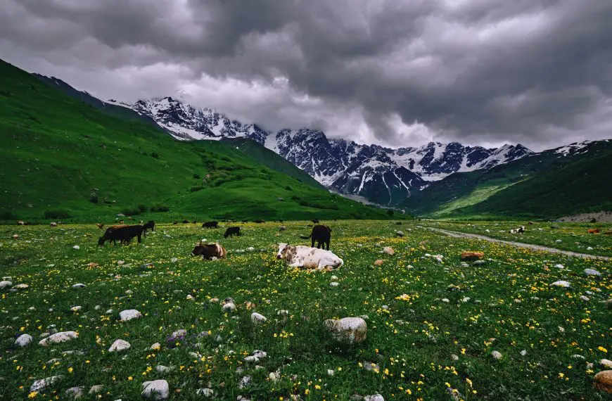 Natural Wonders of Georgia