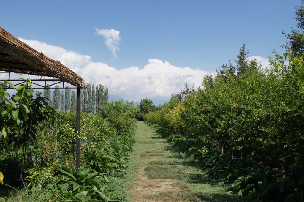 Uka farm, an organic farm & winery on the outskirts of Tirana.