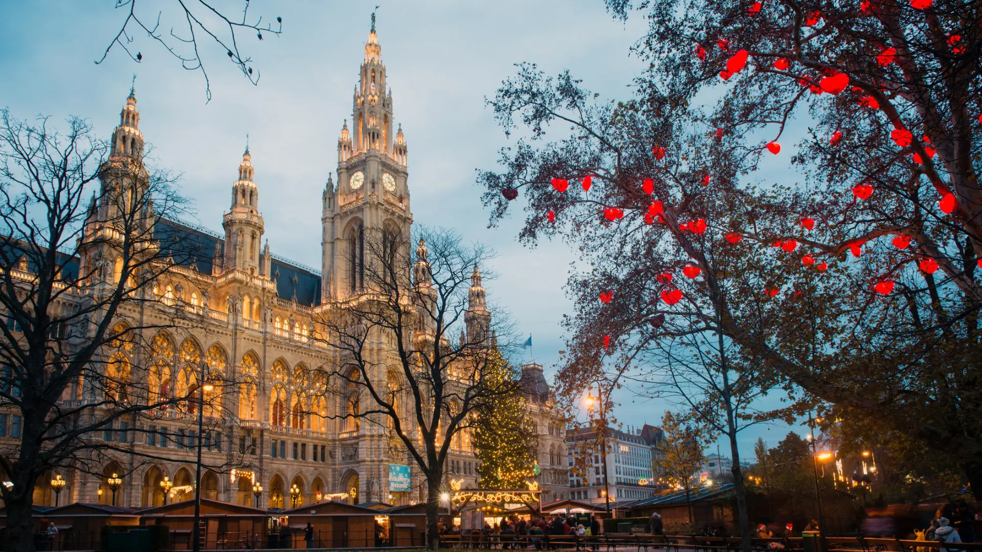 This image shows the Vienna City Hall all lit-up for Christmas.