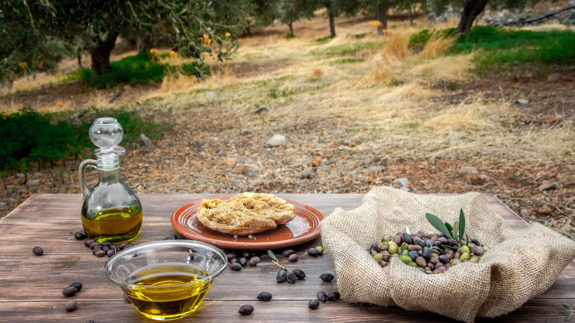 This image shows a table set in nature. There's a bottle of olive oil, a Cretan rusk and some olives on the table.