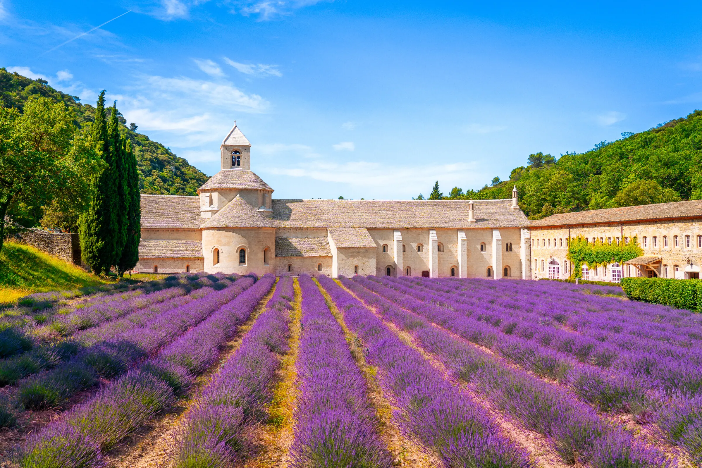 This image shows a purple lavender field with a castle in the background.