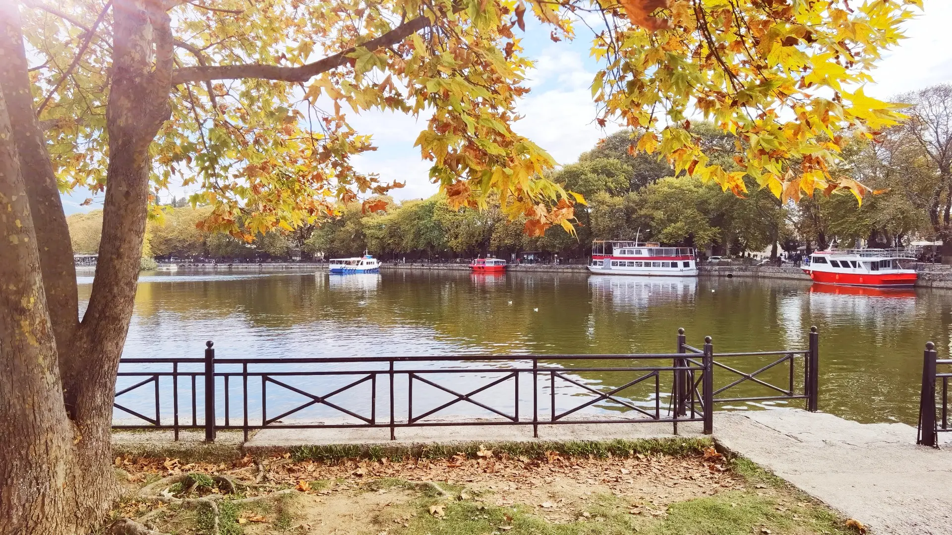 Several boats in a lake surrounded by trees with yellow leaves.