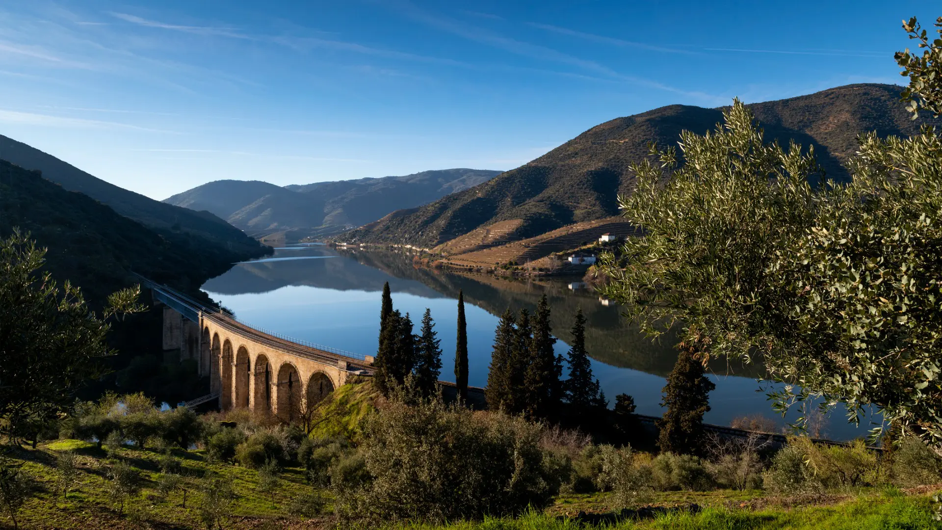 A river flowing in a valley surrounded by mountains covered with vineyards. 