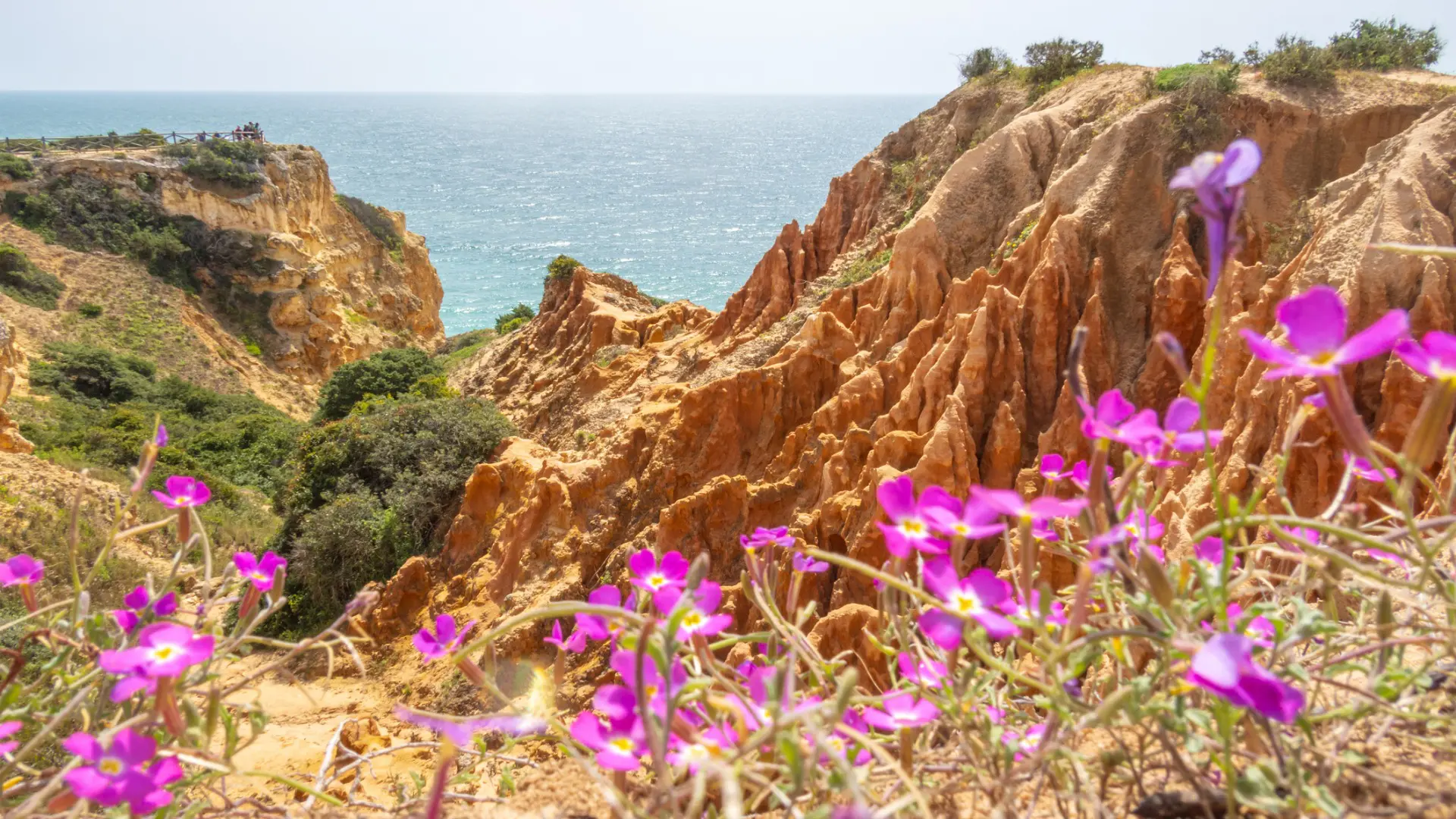 Dramatic cliffs with the sea in the background and bright pink flowers in the foreground.