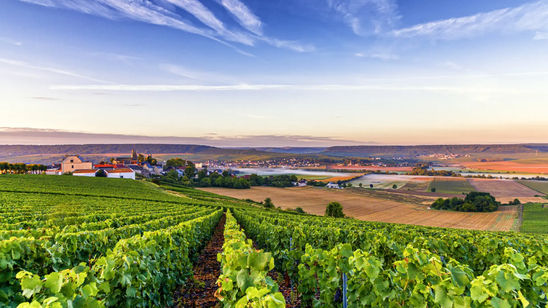 A beautiful landscape with stretches of vineyards in the foreground.
