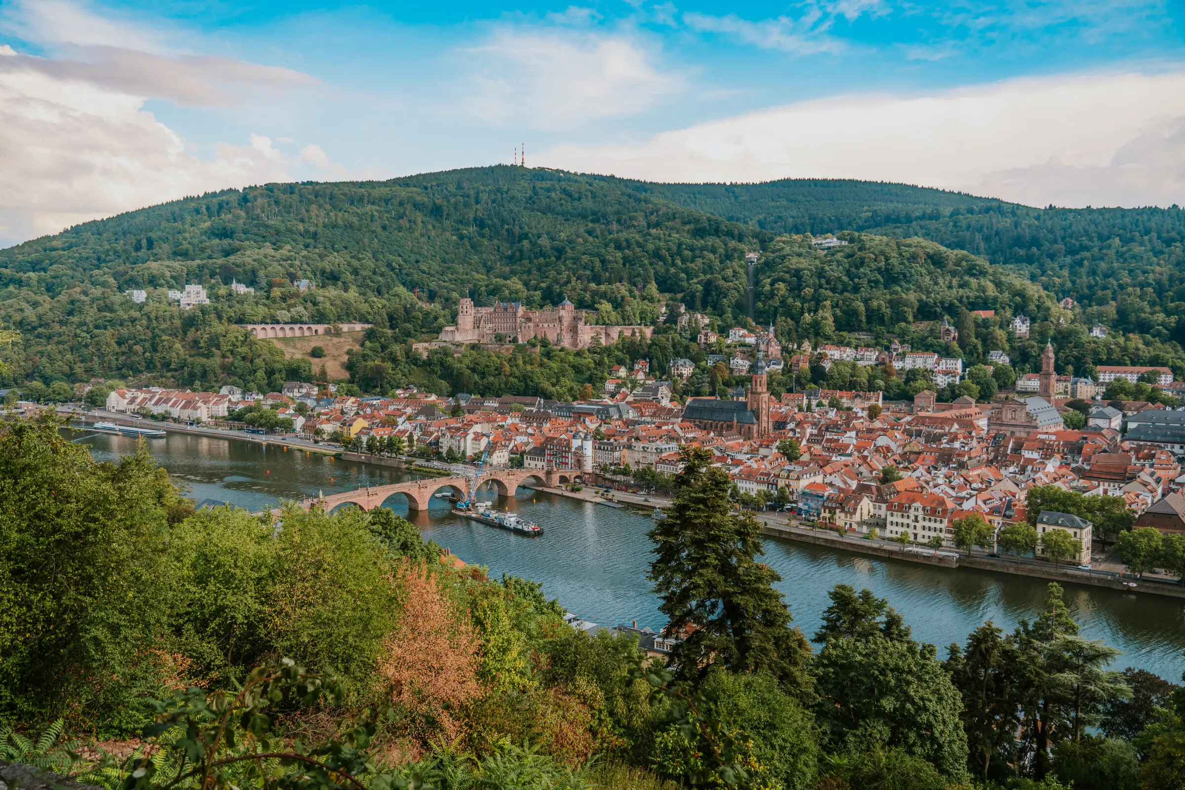 A panoramic view of Heidelberg, one of the best places to visit in Germany. The red-rooftoped town is built along the river, under the shadow of a green mountain.
