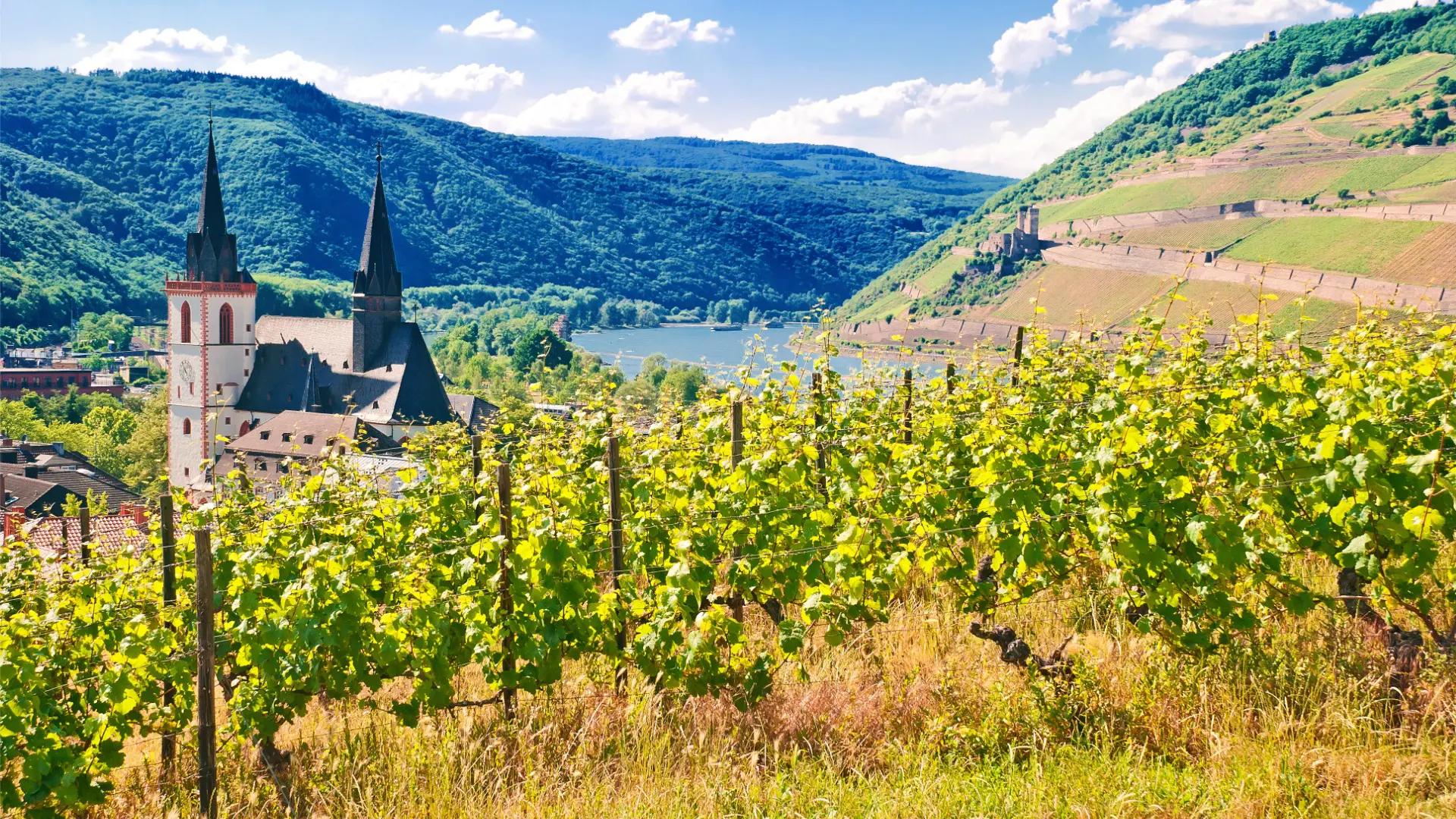A beautiful natural landscape with vineyards in the foreground and a river and a typically German building in the background.