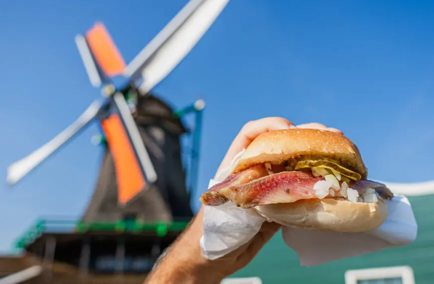 A hand holds a broodje haring (fish sandwich) in front of a windmill.