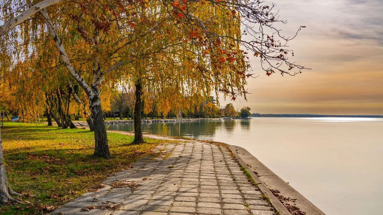 A lakeside promenade with trees with fall foliage.