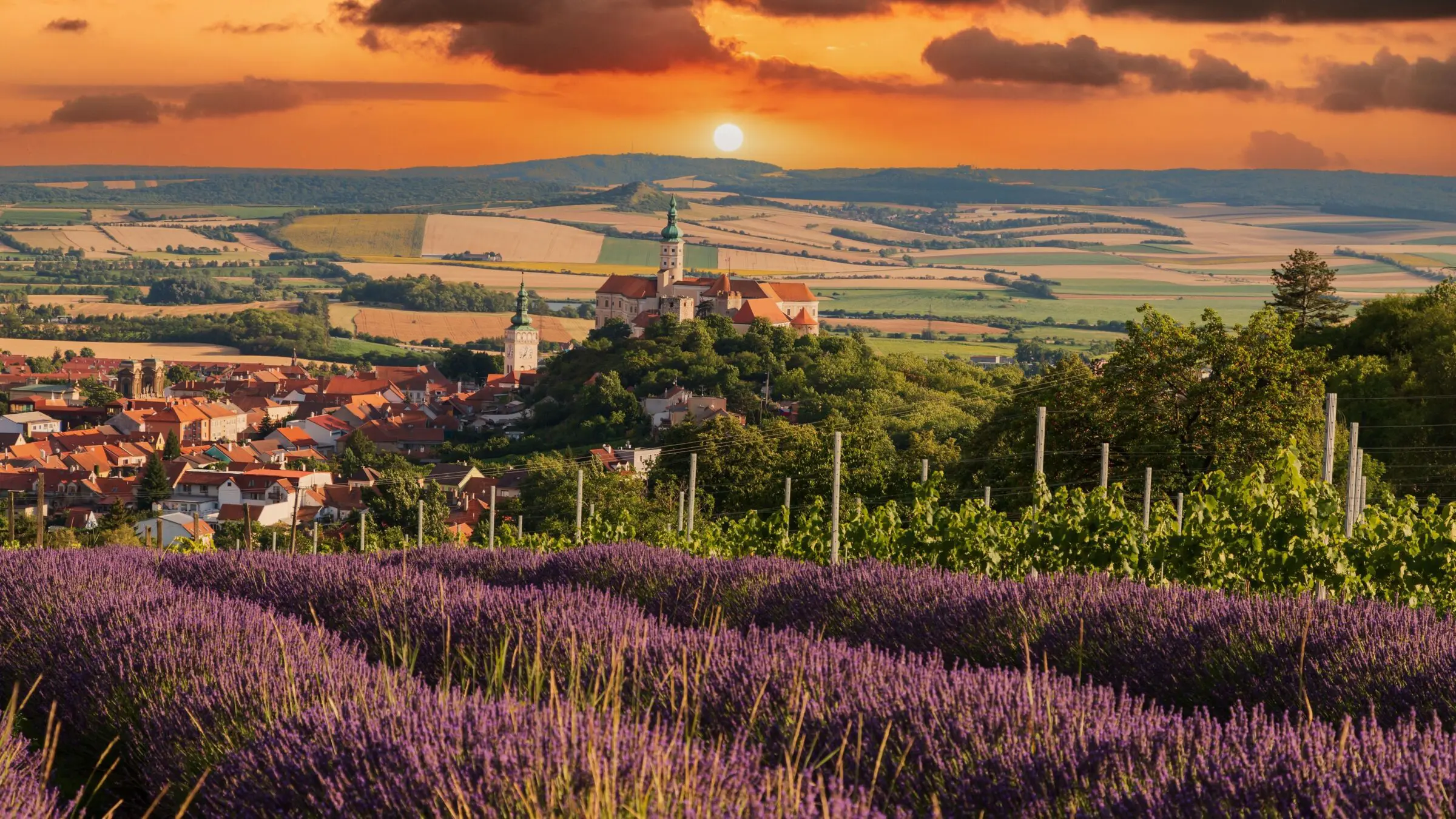 View of the city of Mikulov, one of the best places to visit in Czechia. In the foreground, vineyards and lavender fields. There are some nice dramatic clouds in the sky.