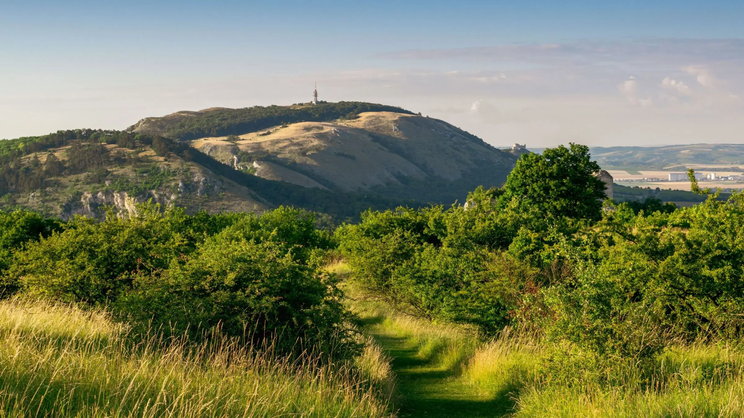 A scenic footpath among greenery and a hill in the background.