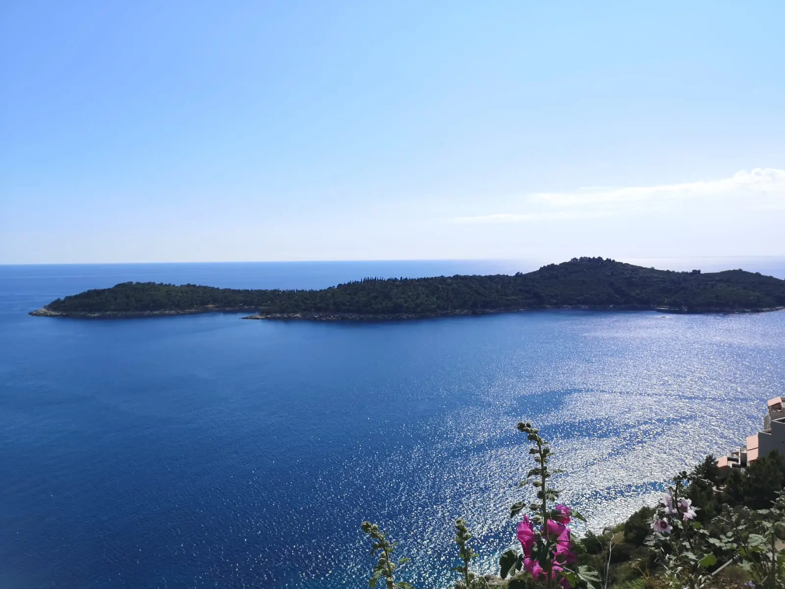 A sunlit view of Lokrum Island surrounded by deep blue Adriatic waters, with flowers in the foreground and a clear blue sky above.