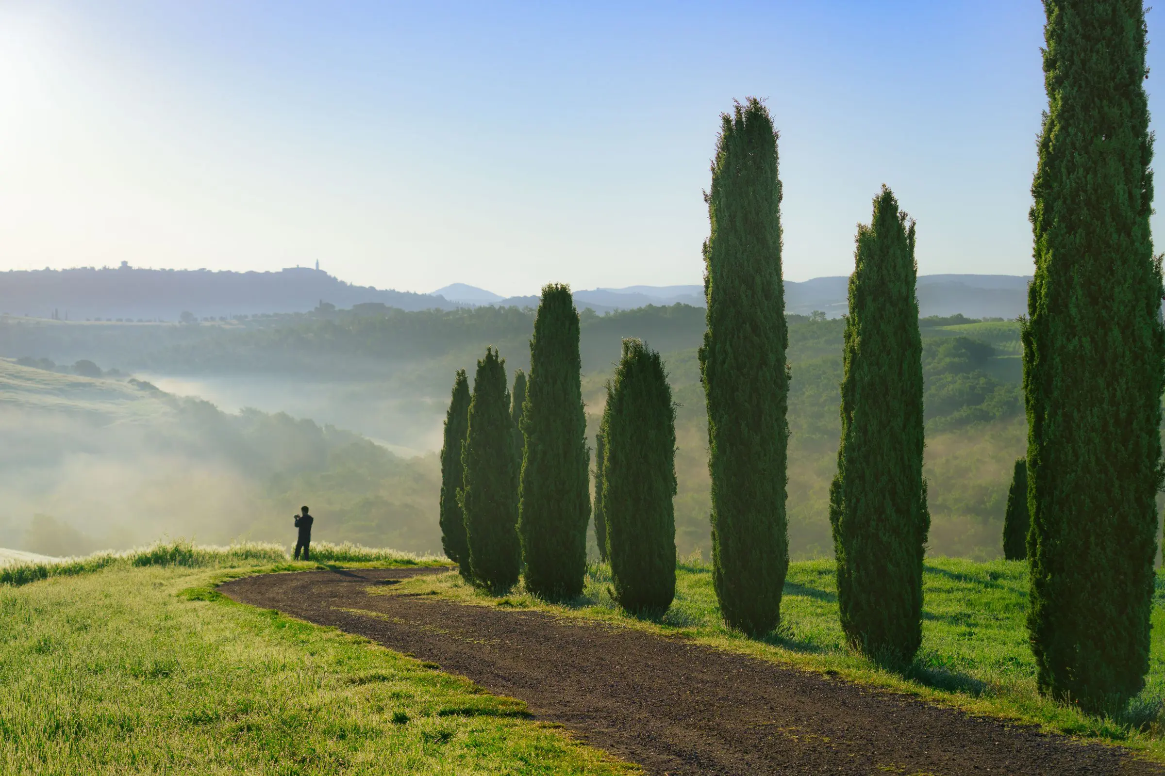 A row of tall cypress trees and a man in the distance taking a photo of the rolling hills of Tuscany.