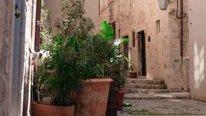 A quaint narrow alley lined with stone buildings and large plant pots in the foreground.