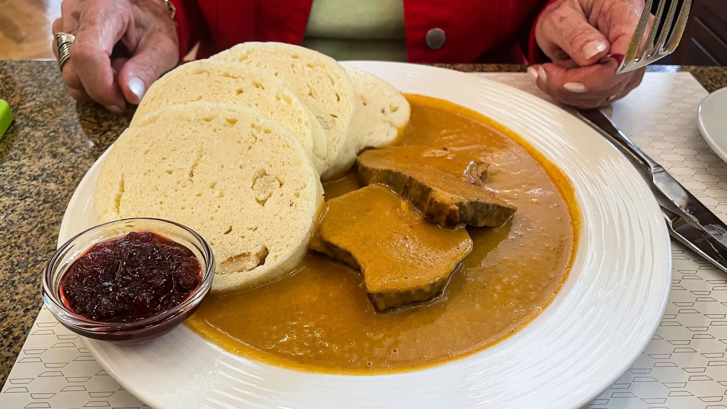 A close-up of a white plate with pieces of meat and bread dumplings in a golden-brown sauce. There's also a small bowl of cranberry sauce and a lady's hands in the background.