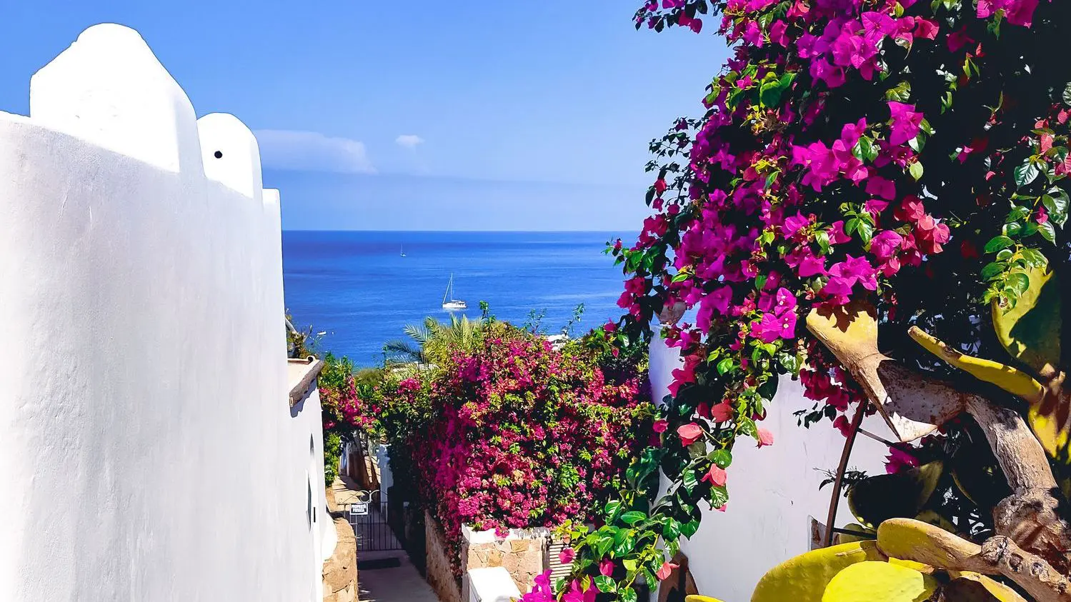 Brightly colored flowers against whitewashed walls and the sea in the background prove that summer might be the best time to visit Sicily.