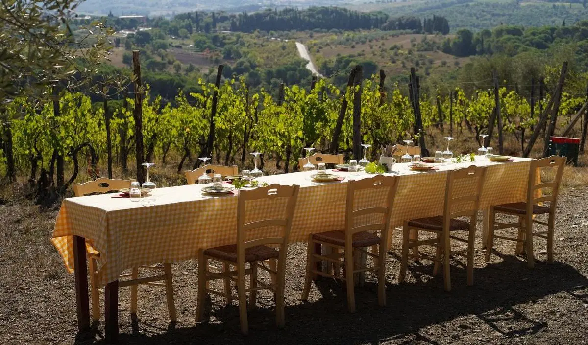 A long table with several chairs set amidst a vineyard in Chianti.