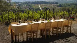 A long table with several chairs set amidst a vineyard in Chianti.