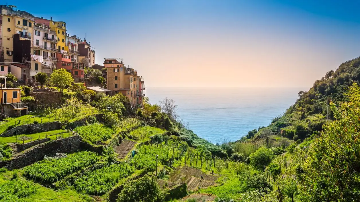 A beautiful village with colorful buildings and terraced vineyards on a cliff over the sea. 