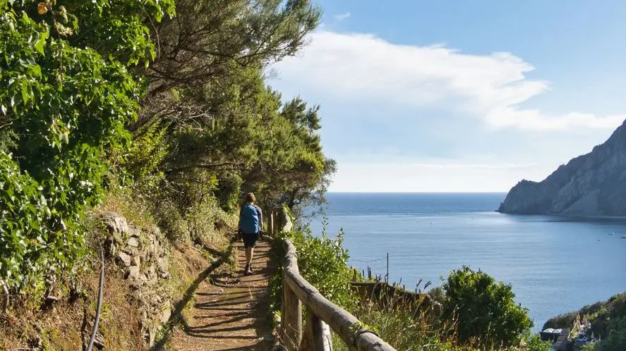 A hiker is walking along a scenic hiking trail with beautiful sea views. 