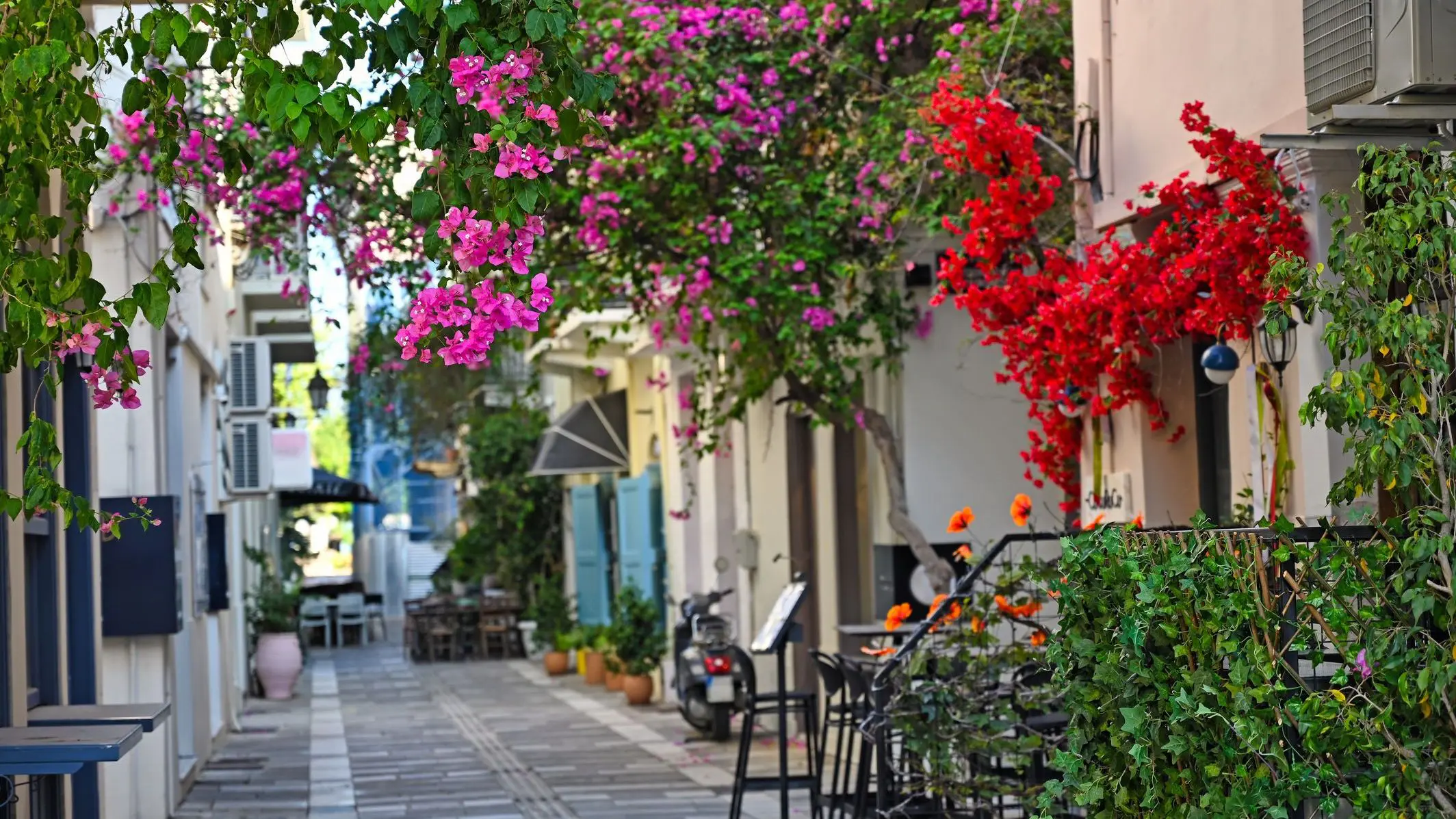 A narrow alley in Nafplio, adorned with colorful bougainvillea flowers. 