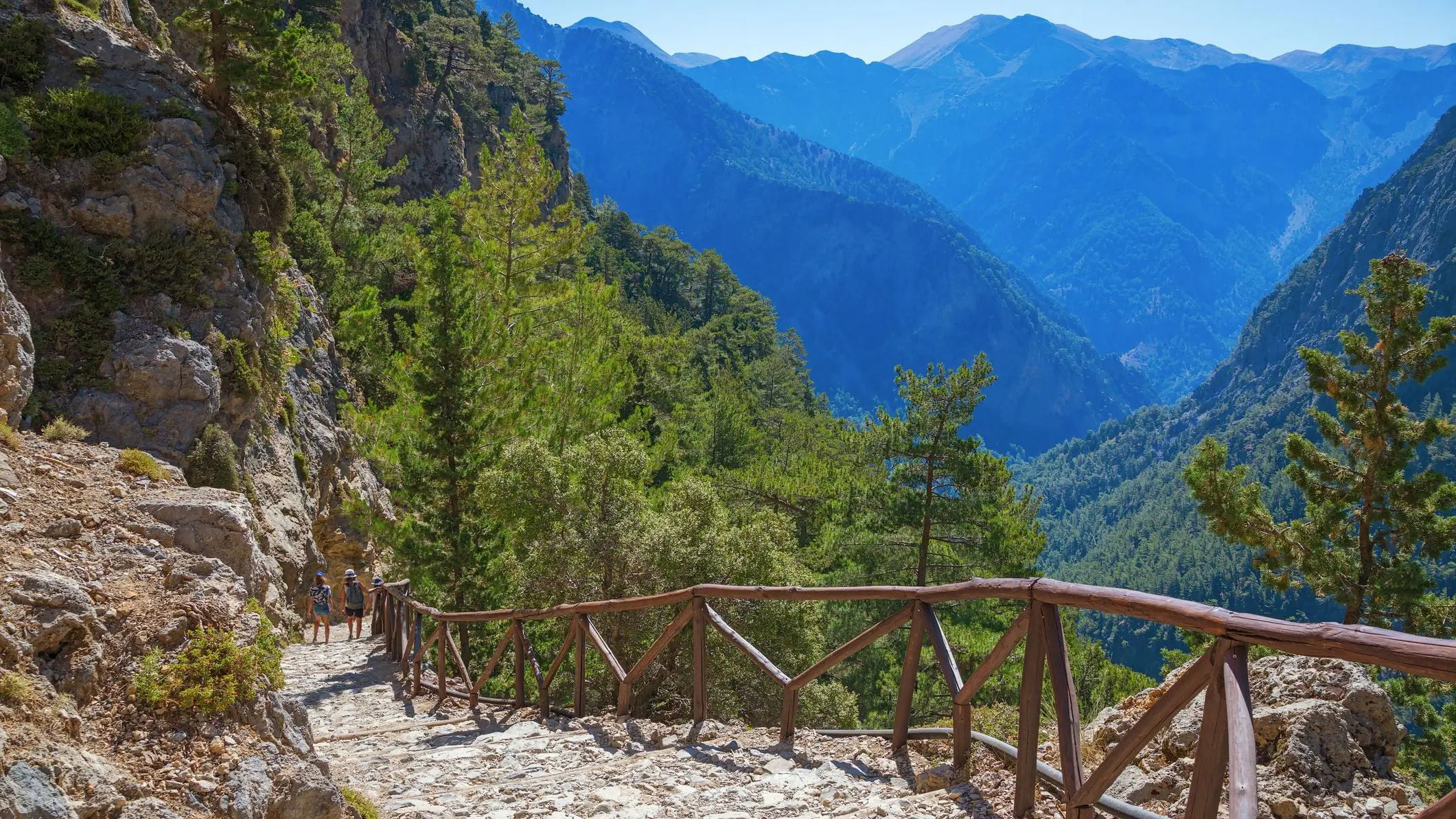 A forest path at the National Park of Samaria with spectacular mountain views. 