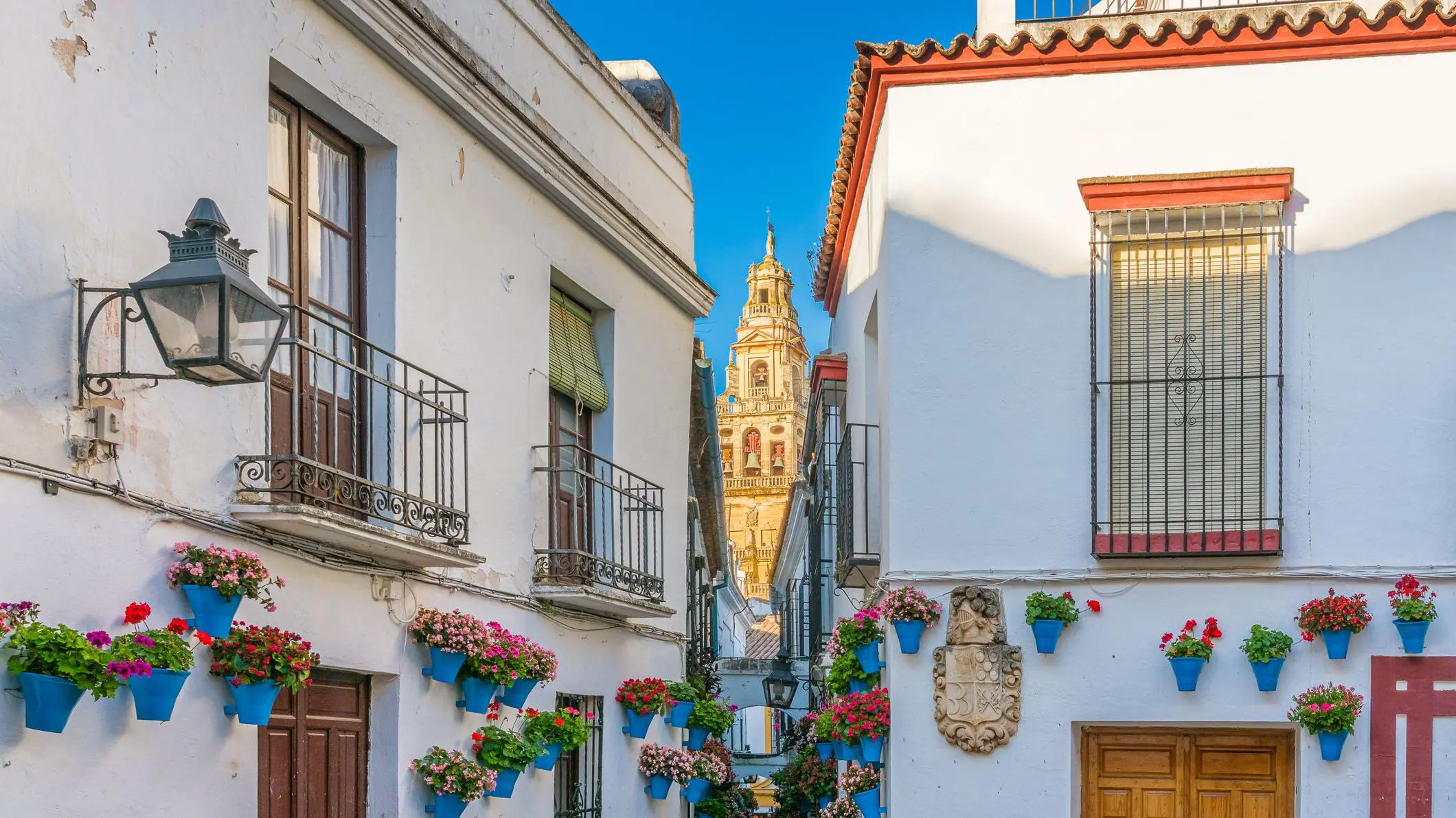 Cordoba's picturesque Jewish quarter, with the bell tower of the Mosque Cathedral in the background. The whitewashed walls of the buildings are adorned with blue flower pots. 