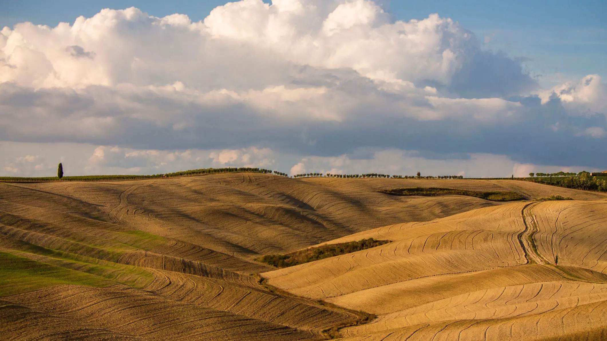 The rolling hills of Val d'Orcia dyed in brown autumn hues. 