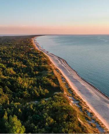 Beautiful landscape of Curonian spit on the Baltic sea with forest, beach and sea at sunset.
