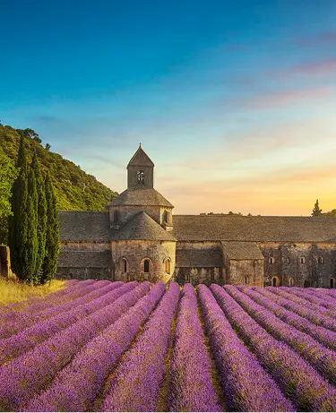 The Abbey of Senanque and the rows of lavender flowers in bloom, panoramic view at sunset. Gordes, Vaucluse department, Provence-Alpes-Cote d'Azur region, France, Europe.