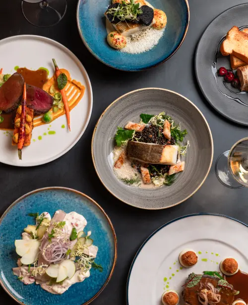 Close-up of gourmet cuisine featuring carefully plated food with vibrant colors and delicate garnishes in a luxury restaurant.