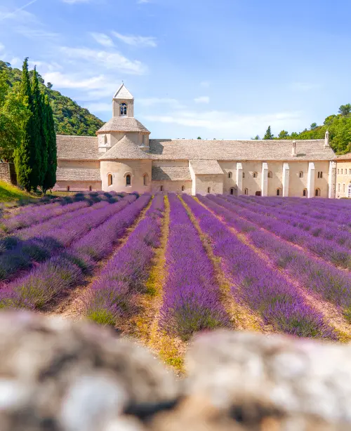 Lavender fields in Provence, France stretching across purple landscapes with distant stone villages and golden sunlight.