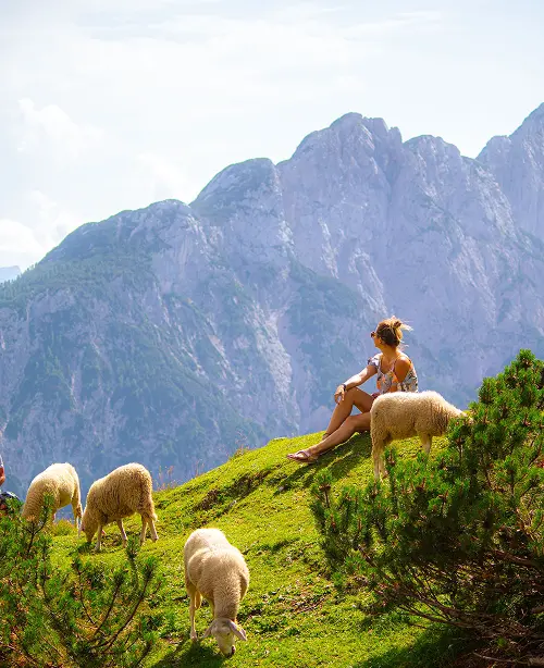 Beautiful Slovenian landscape with rolling hills, alpine scenery, and quaint towns under a bright blue sky.