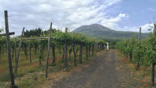 How to Visit Vesuvius and Pompeii