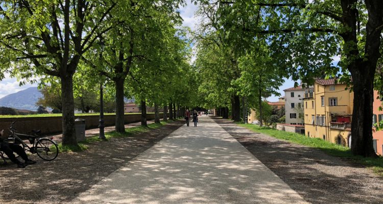 Lucca Walls Path