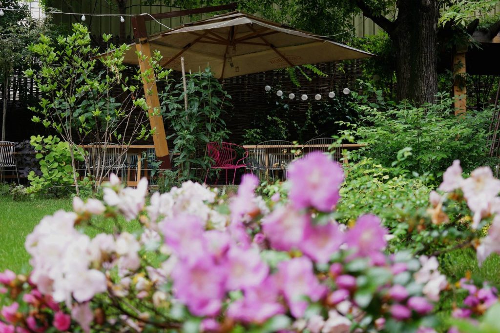 Gardens in Bucharest