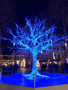 dresden-augustus-market-tree