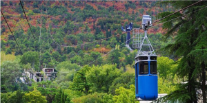 The aerial tramway to Turtle Lake from Vake Park