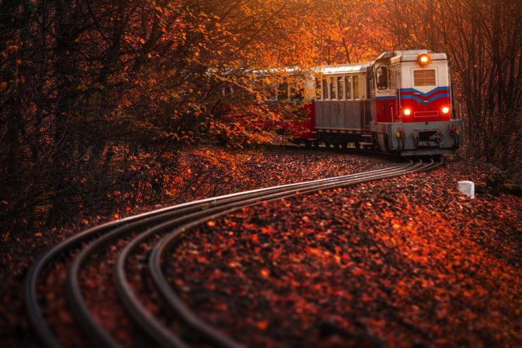 Budapest Children's Railroad