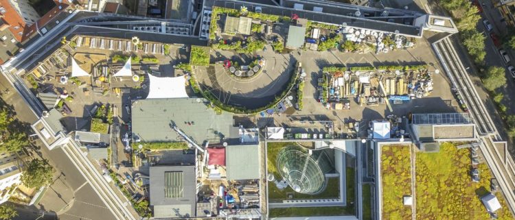 Klunkerkranich from above