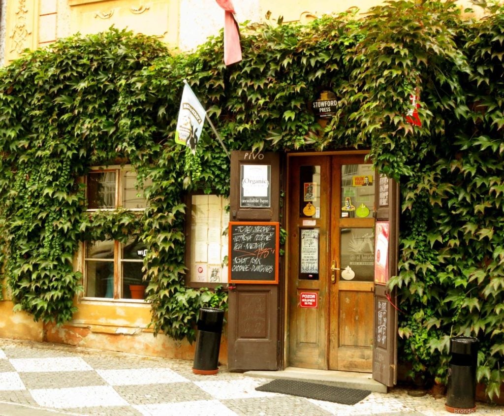 Ivy-clad entrance to U Zavesenyho Kafe